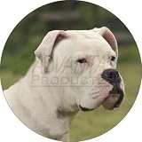 from Fridge Magnets American Staffordshire Bull Terrier Dog Fridge Magnet Stocking Filler, Ref:AD-SBT9FM