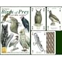 Birds of Prey Playing Cards