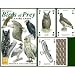 Birds of Prey Playing Cards