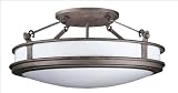 F425-65 Forecast Lighting