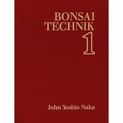 Bonsai Technik 1