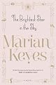 The Brightest Star in the Sky: A Novel