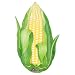 Corn on the cob balloons, Corn Balloons Helium Quality [Misc.]
