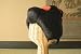 �ӥˡ��뤫�Ĥ顦DX�ݼ�