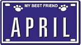 Pet Supplies : April Dog Name Plate for Pet Carriers or Cages