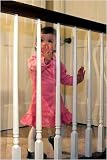 Indoor Banister Guard 15 Ft x 33 In