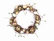 Pack of 2 Robins Egg and Nest Artificial Grapevine Wrapped Wreaths 20"