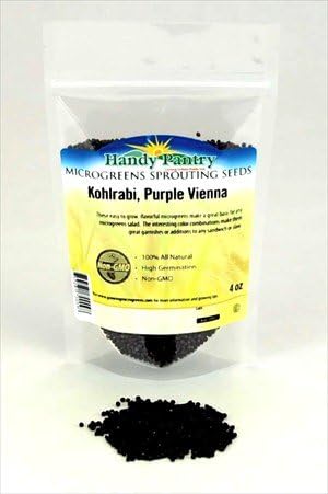 Purple Vienna Kohlrabi Seeds - 4 Oz. Resealable Bag - Use for Indoor Gardening, Growing Microgreens & More | Micro Greens Salad Garden Seeds