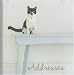 Books : White Address Book (White Collection) (White Collection)