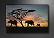 Bild auf Leinwand Afrika 120 x 80 cm Modell-Nr. XXL 5066 Bilder fertig gerahmt�auf echtem Holzrahmen riesig. Ausf�hrung Kunstdruck als Wandbild auf Rahmen. G�nstiger als �lbild Gem�lde Poster Plakat mit Bilderrahmen
