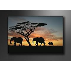 Bild auf Leinwand Afrika 120 x 80 cm Modell-Nr. XXL 5066 Bilder fertig gerahmt�auf echtem Holzrahmen riesig. Ausf�hrung Kunstdruck als Wandbild auf Rahmen. G�nstiger als �lbild Gem�lde Poster Plakat mit Bilderrahmen
