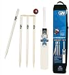 GM Catalyst Cricket Set