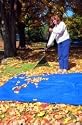 Kotap America. Poly Tarp Blue 15 X 20 Feet - TRA-1520