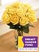breast_cancer30breast cancer - Breast Cancer Roses PLUS Notecards