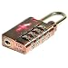 Safe Skies Milano Antique Copper TSA Lock