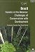 Brazil: Forests in the Balance -- Challenges of Conservation with Development (Independent Evaluation Group Studies)
