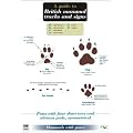 A Guide to British Mammal Tracks and Signs