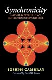 Synchronicity: Nature and Psyche in an Interconnected Universe (Carolyn and Ernest Fay Series in Analytical Psychology)