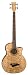 Musical Instruments : Dean Acoustic-Electric Bass Quilted Ash Back/Sides/Top Gloss Natural