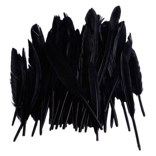 50pcs Home Decor Black Goose Feather