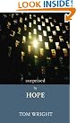 Surprised by Hope