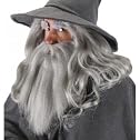 Elope Gandalf Beard and Wig, Gray, One Size