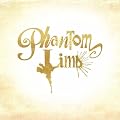 Phantom Limb