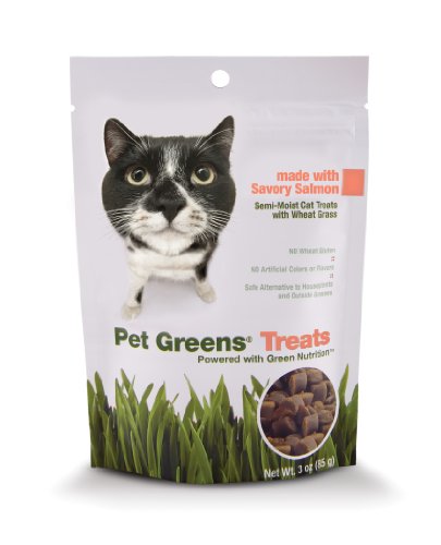 Pet Greens Treats Savory Salmon Semi-Moist Cat Treats