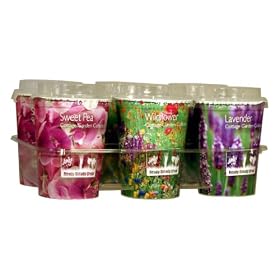 Proteam GH1063 Ready Steady Grow Set of 6 Flowers