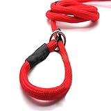 Adjustable Pet Puppy Dog Cat Nylon Leash Training Collar Neck Guide Strap 130cm Red