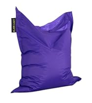 Plain Lazy Indoor / Outdoor Beanbag, Purple