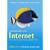 The Rough Guide to the Internet 2005 (Rough Guides Reference Titles)