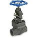 Sharpe Valves 44834 Series Carbon Steel Globe Valve, Bolted Bonnet, Inline, NPT Female