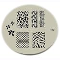 Konad Stamping Nail Art Image Plate - M57