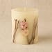 Rosy Rings Cherry Blossom Botanical Candle 4.5" x 5"
