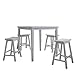 ACME Furniture 07289 5 Piece Gaucho Counter Height Set 5, White