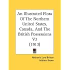 An Illustrated Flora Of The Northern United States, Canada, And The British Possessions V2... by  Nathaniel Lord Britton and Addison Brown