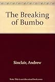 The breaking of Bumbo
