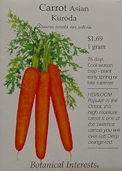 Carrot Asian Kuroda Heirloom Seeds 275 Seeds