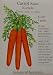 Carrot Asian Kuroda Heirloom Seeds 275 Seeds