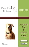 Identifying Fear & Shyness in Dogs