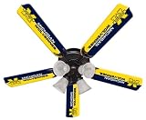 Michigan Wolverines Ceiling fan with Light Fixture