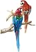 Parrot Wallpaper Mural Tropical Design Border