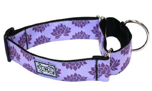 RC Pet Products 1-1/2-Inch All Webbing Martingale Dog Collar, Small, Nirvana