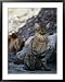 African Wildcat Animals Framed Art Poster Print by Nicole Duplaix, 31x39