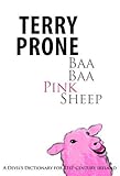 Baa baa pink sheep : a devil's dictionary for modern Ireland