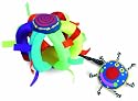 Manhattan Toy Whoozit Wiggle Ball