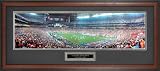 Florida Gators Framed National Championship Triumph 1-8-07 - Unsigned Panoramic
