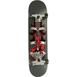 Birdhouse Platinum Dragon Banner Complete Skateboard