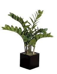 Artificial 25" Zamioculca in Black Cube Vase